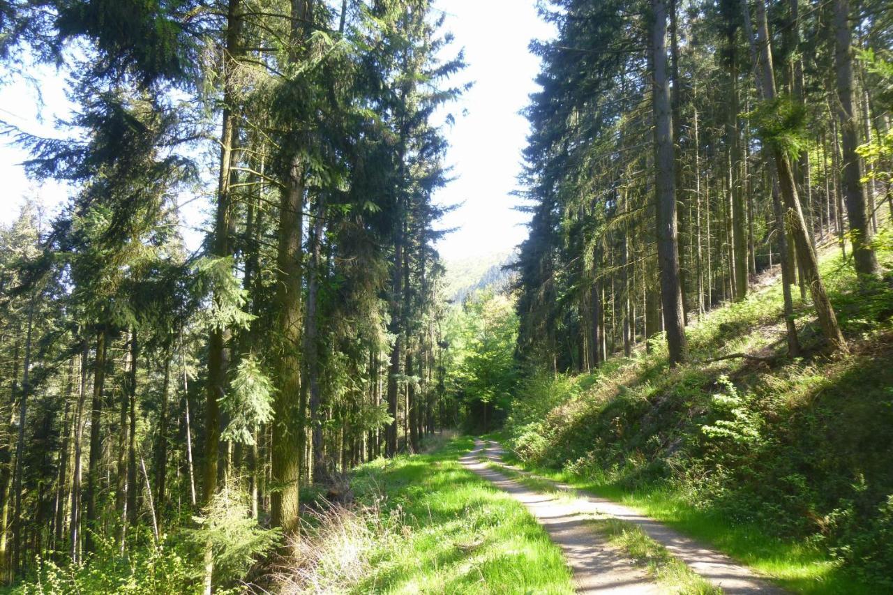 Apartamento Moselschiefer Neu Ab Mai 2023 Traben-Trarbach Exterior foto